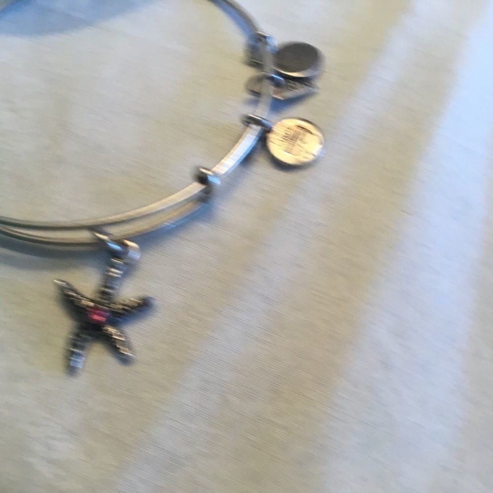 Alex & Ani Silvertone Bangle - Picture 3 of 7